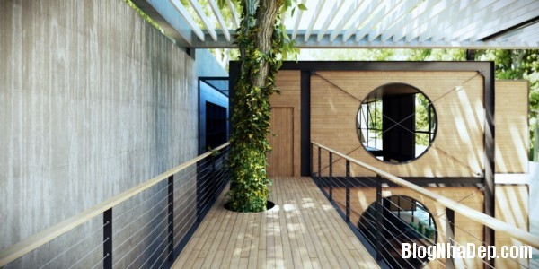 Ngôi nhà sang trọng nằm lẩn khuất giữa thiên nhiên xinh đẹp do Ando Studio thiết kế
