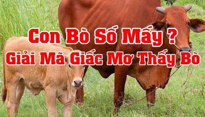 Mơ Thấy Bò Có Ý Nghĩa Gì? Các Con Số Giúp Đặt Cược May Mắn