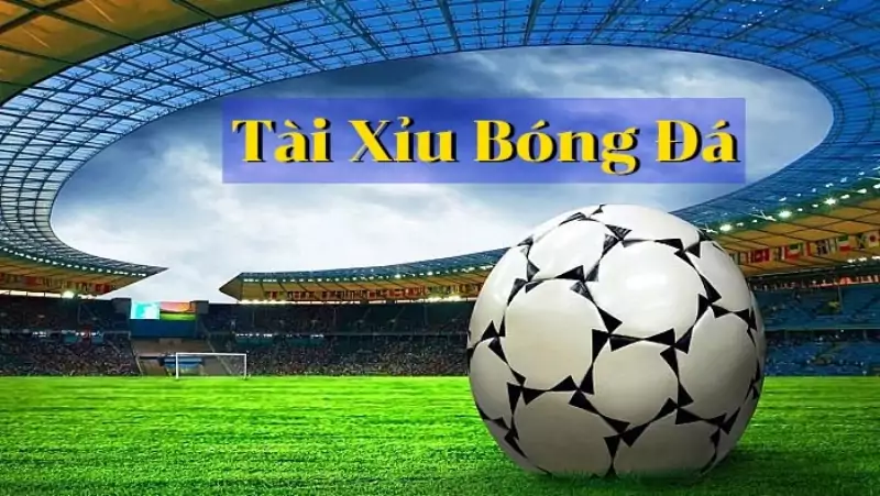 Tài Xỉu Là Gì? ⚡ Hướng Dẫn Cách Chơi Tài Xỉu Cơ Bản